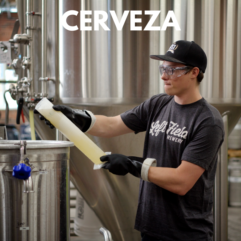 Taller de Elaboración de Cerveza V2.0, 21 de Noviembre  2020 - Brewmasters México